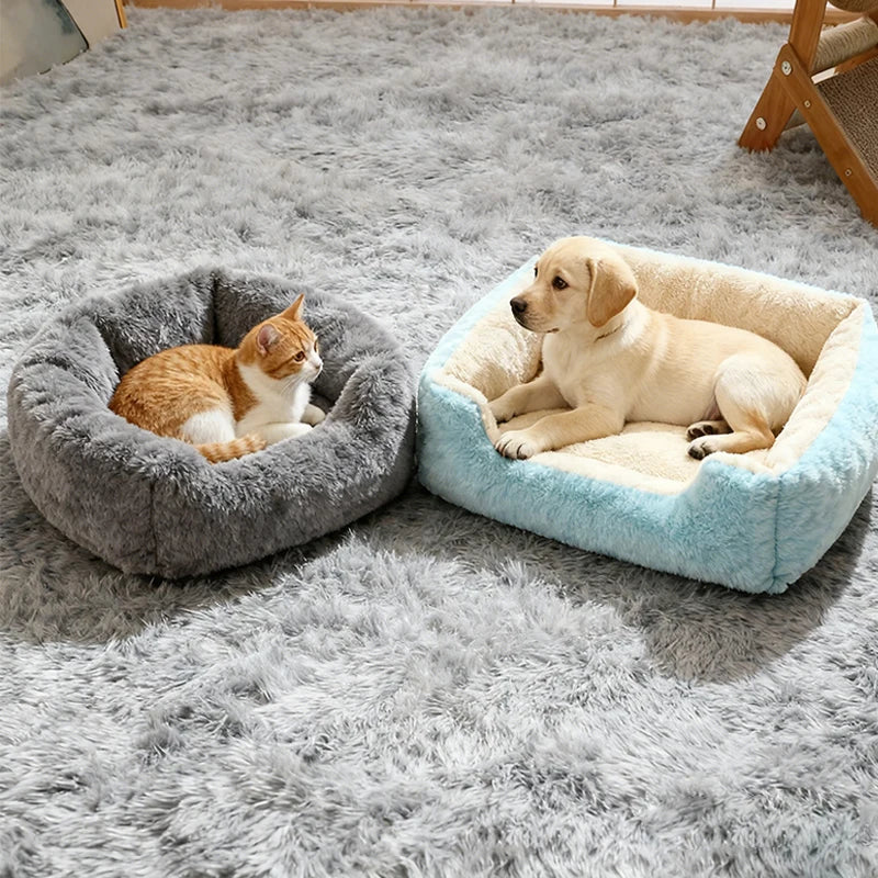 Bed For Cat Pet Products Cushions Kitten Good Comfortable Dog House Supplies Things Accessory Basket Warm House Beds For Winter